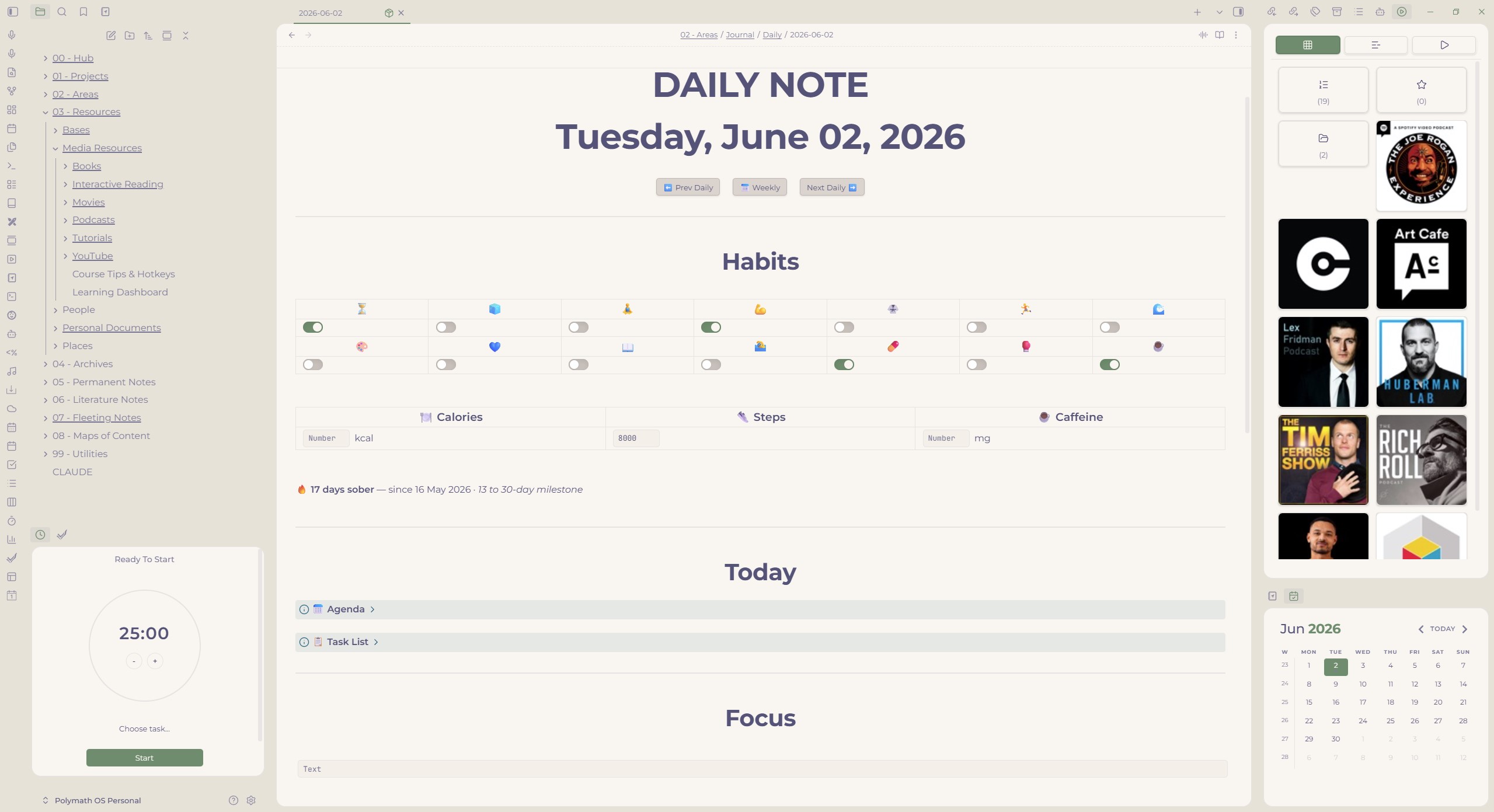 Daily note — habits, mood, focus, sessions, project log and family check-in in light mode
