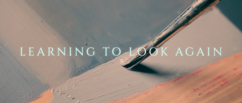 Learning to Look Again — still 1